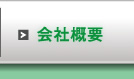 会社概要 スマイル・アイ